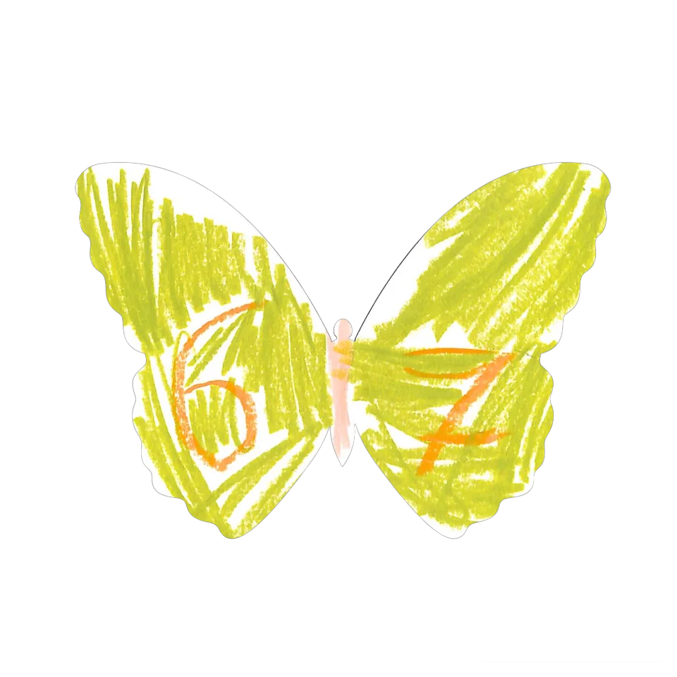 Original Butterfly Image