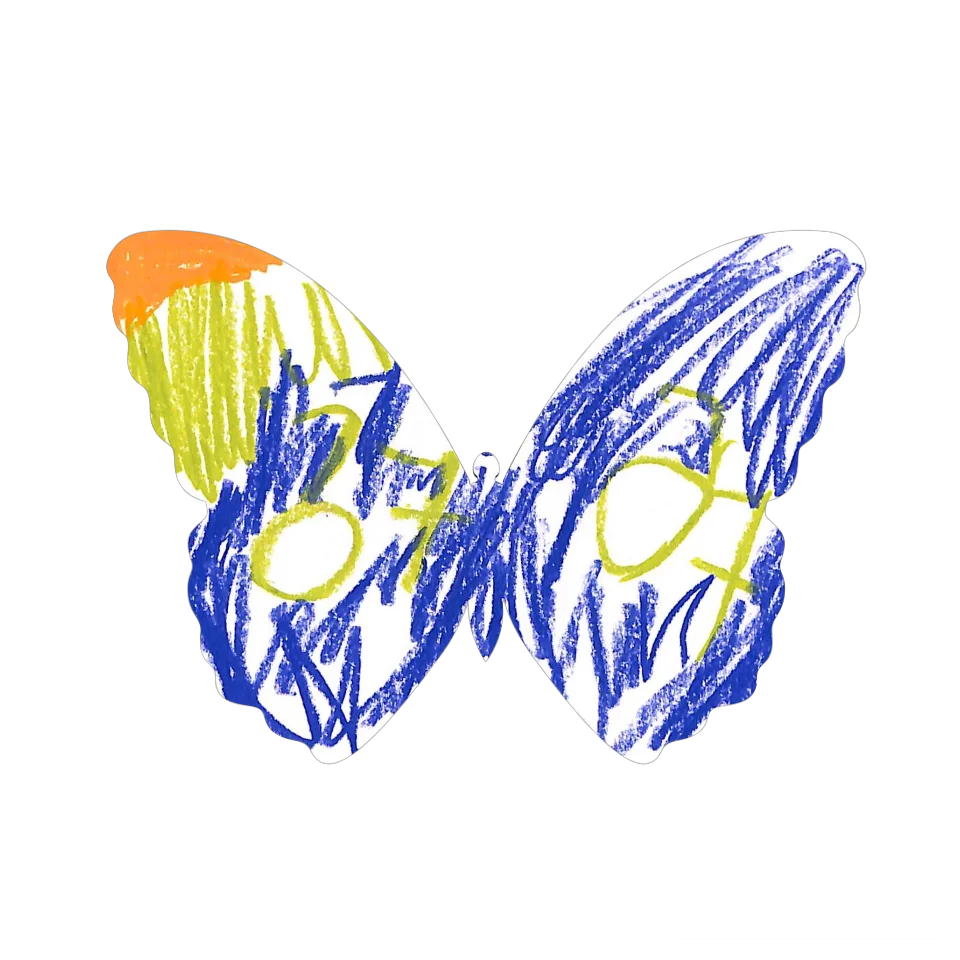 Original Butterfly Image