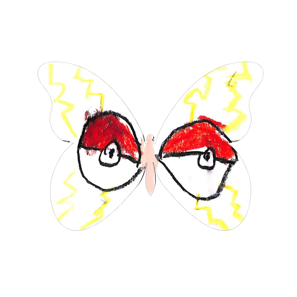 Original Butterfly Image