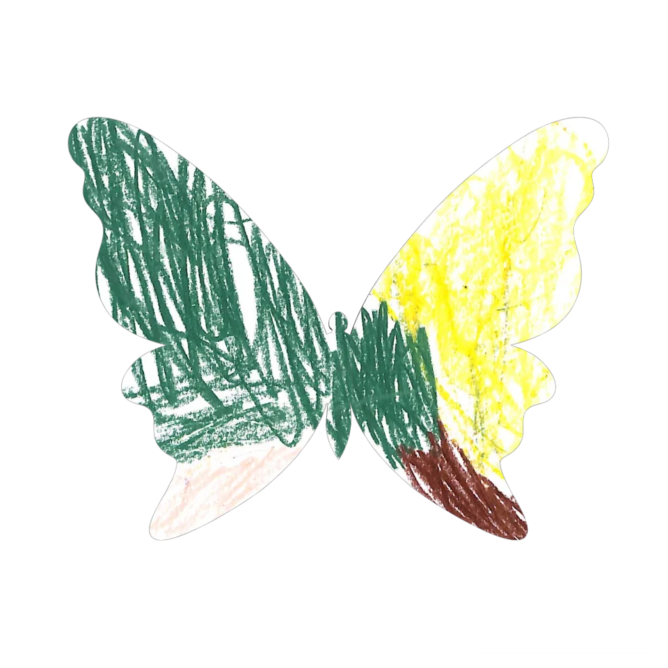 Original Butterfly Image