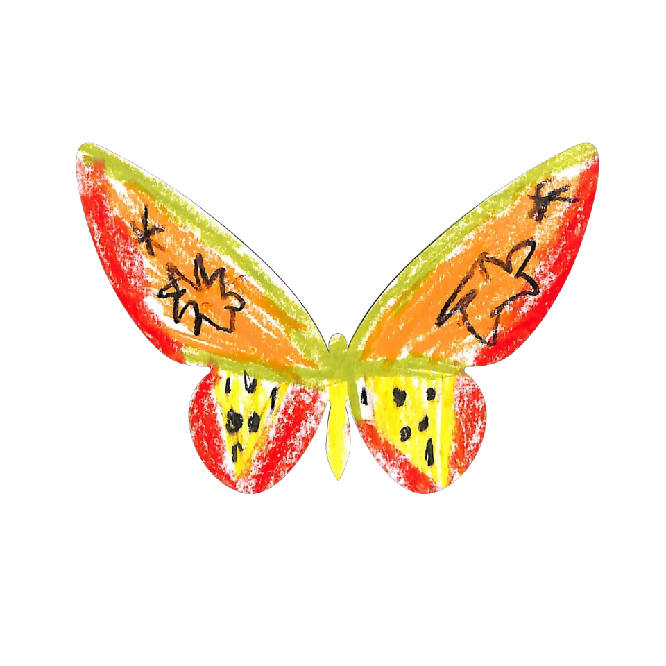 Original Butterfly Image