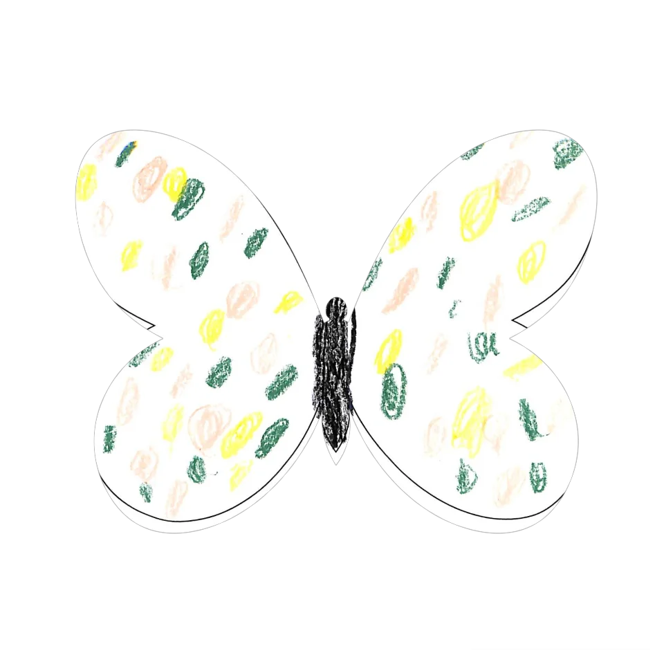 Original Butterfly Image