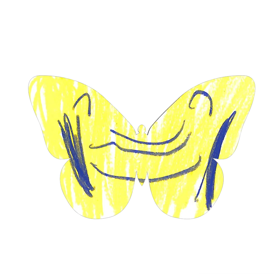 Original Butterfly Image