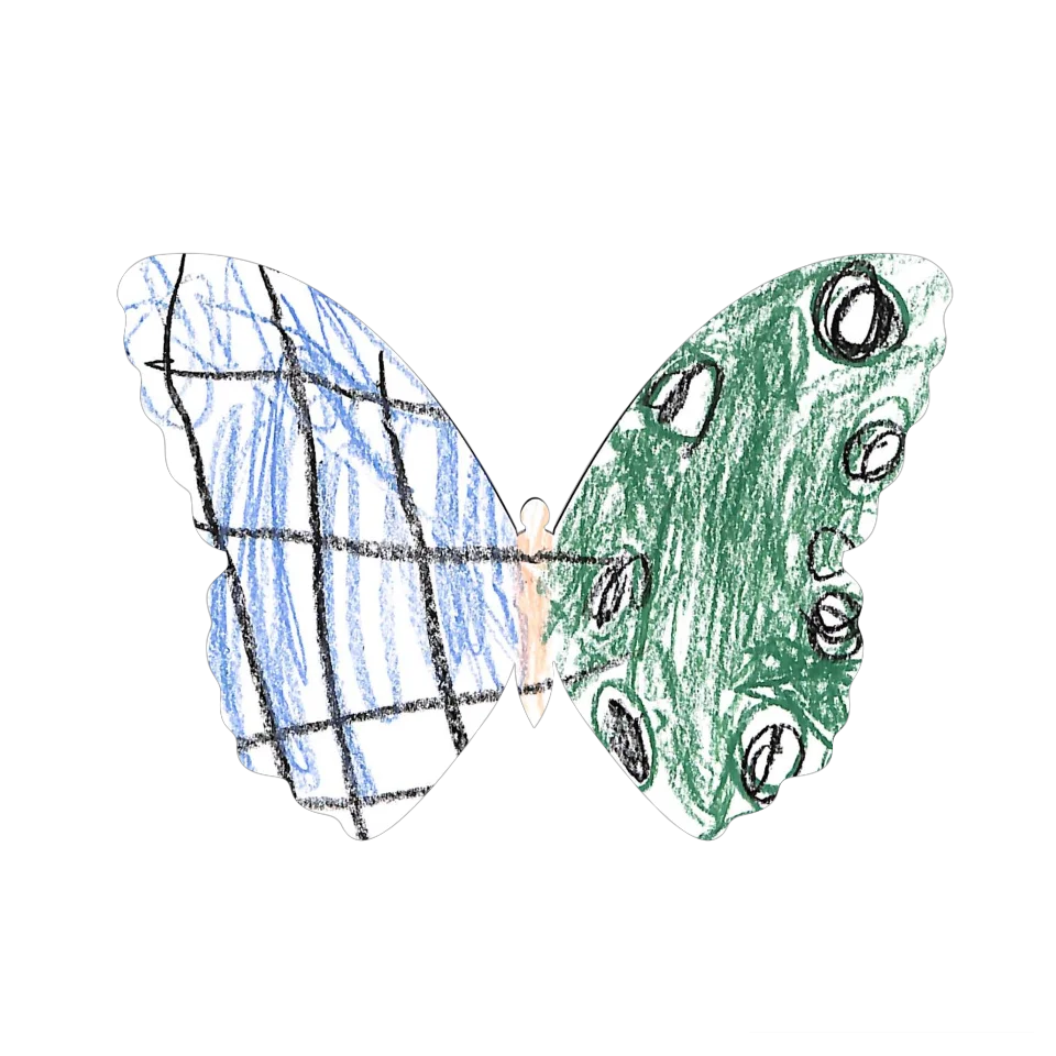 Original Butterfly Image
