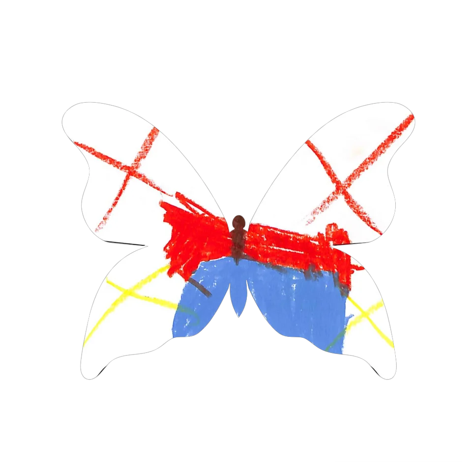 Original Butterfly Image