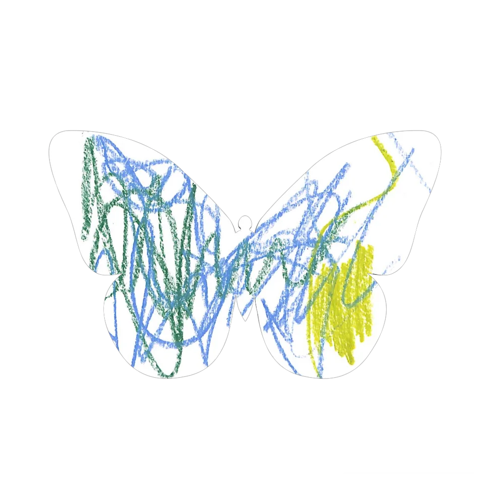Original Butterfly Image