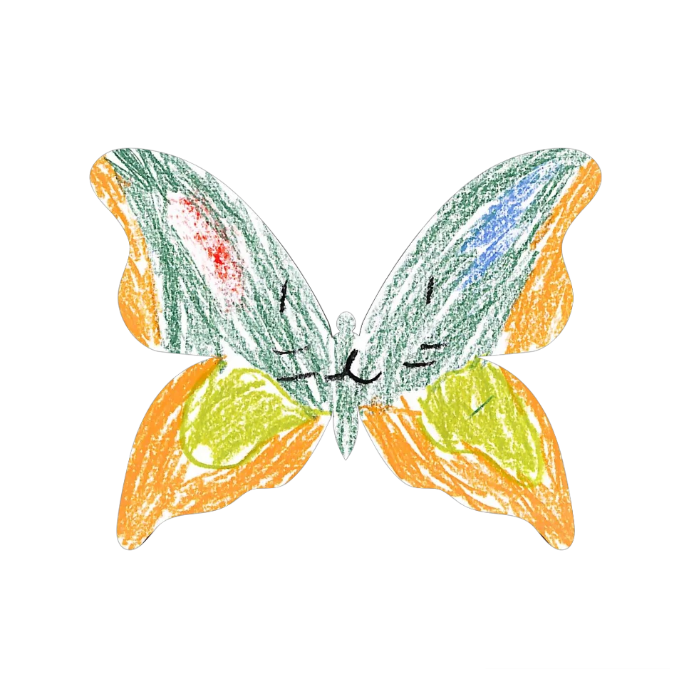 Original Butterfly Image