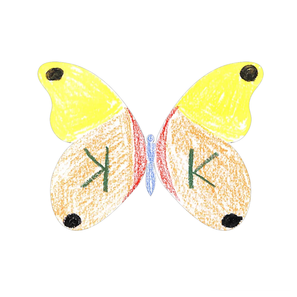 Original Butterfly Image