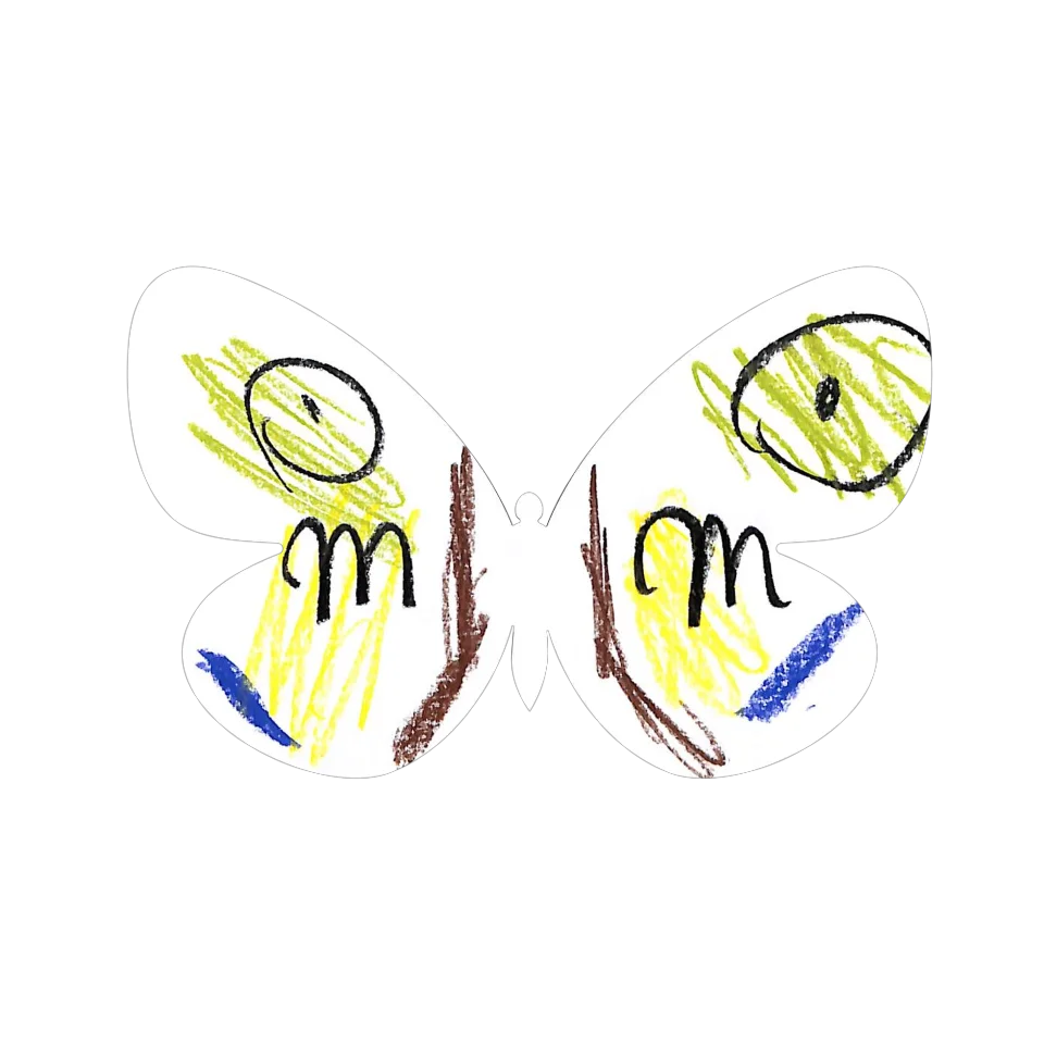 Original Butterfly Image