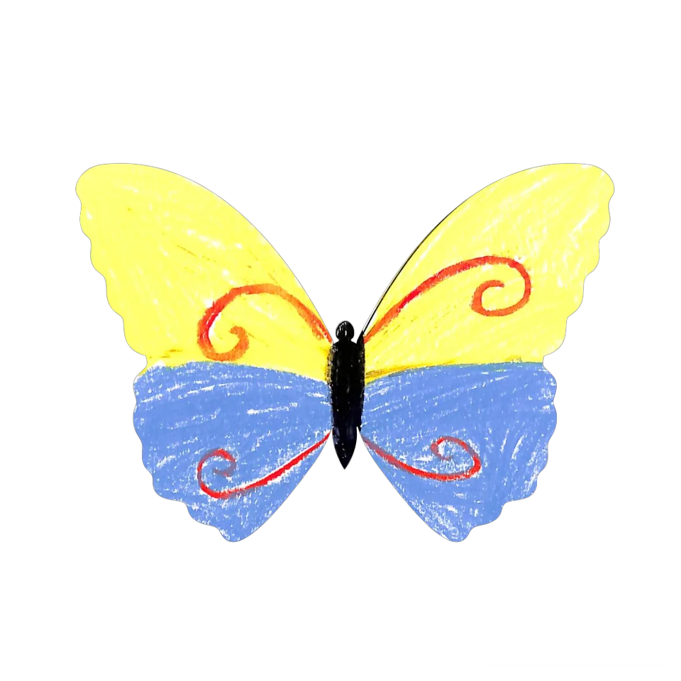 Original Butterfly Image