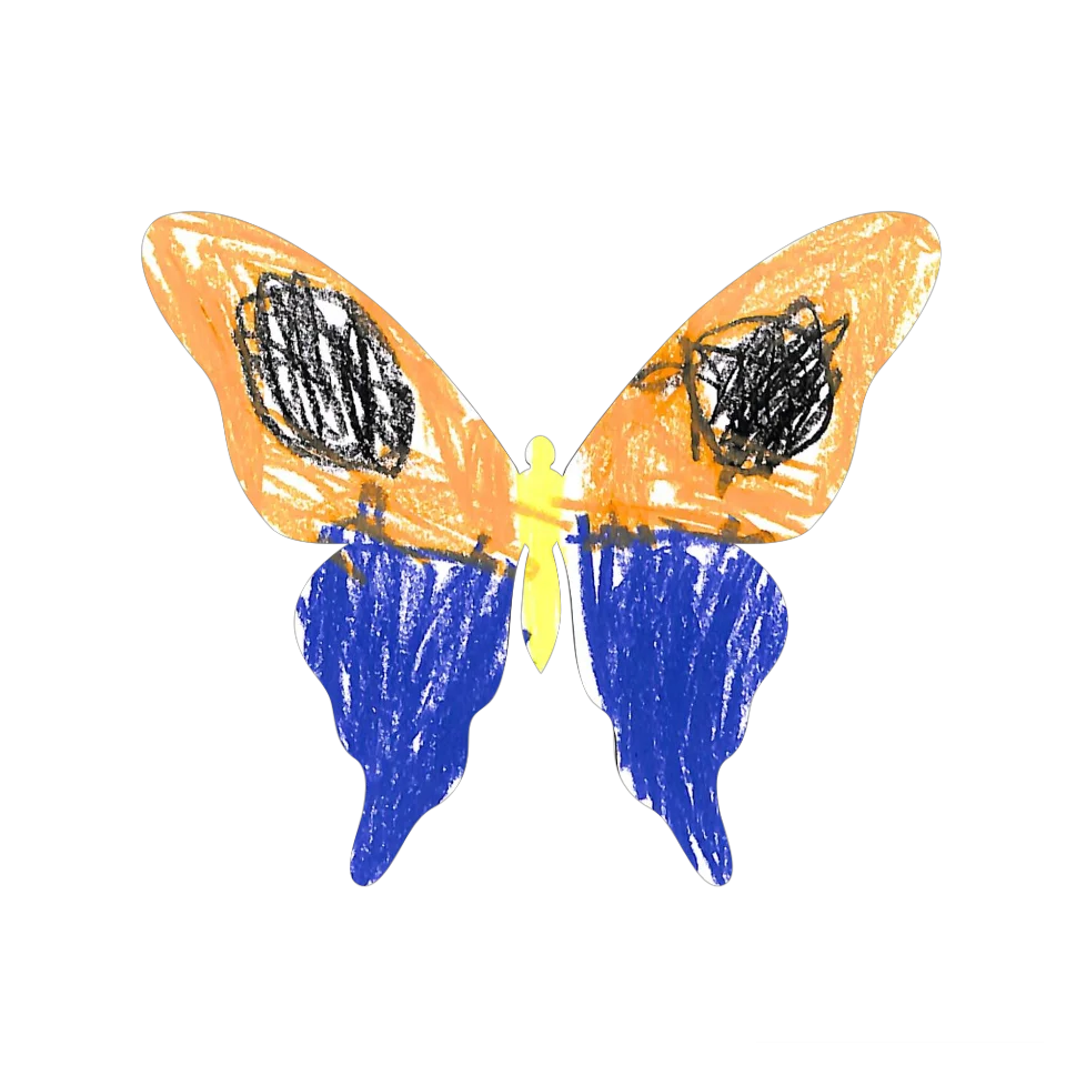 Original Butterfly Image