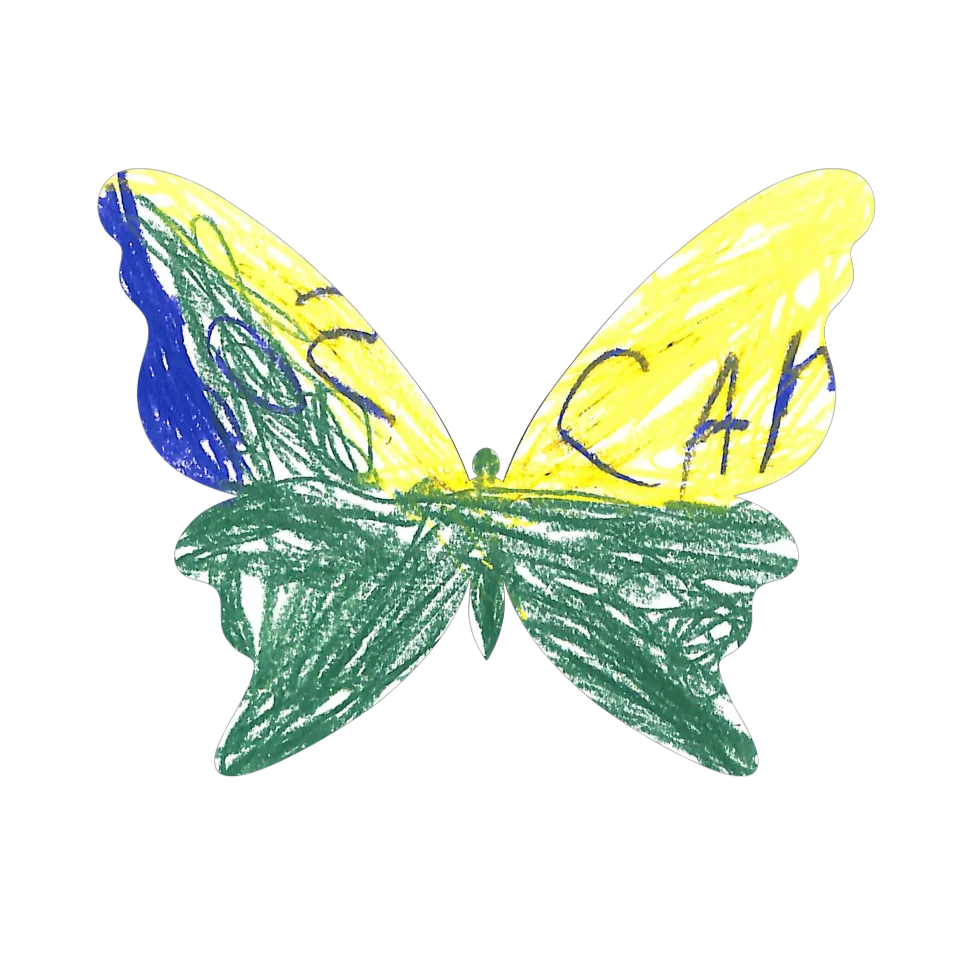 Original Butterfly Image