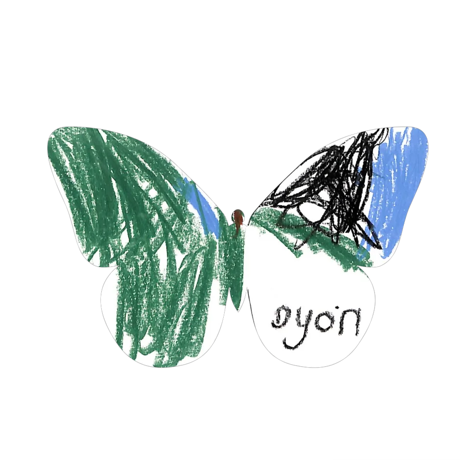 Original Butterfly Image