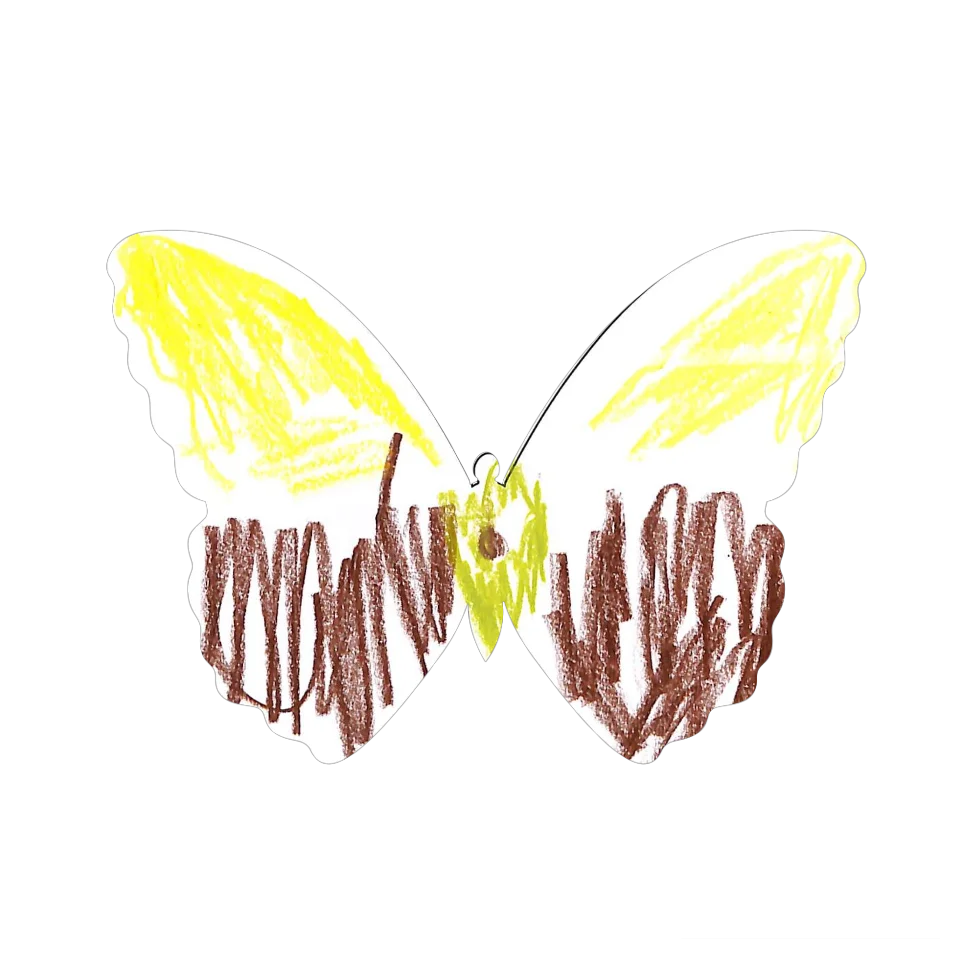 Original Butterfly Image