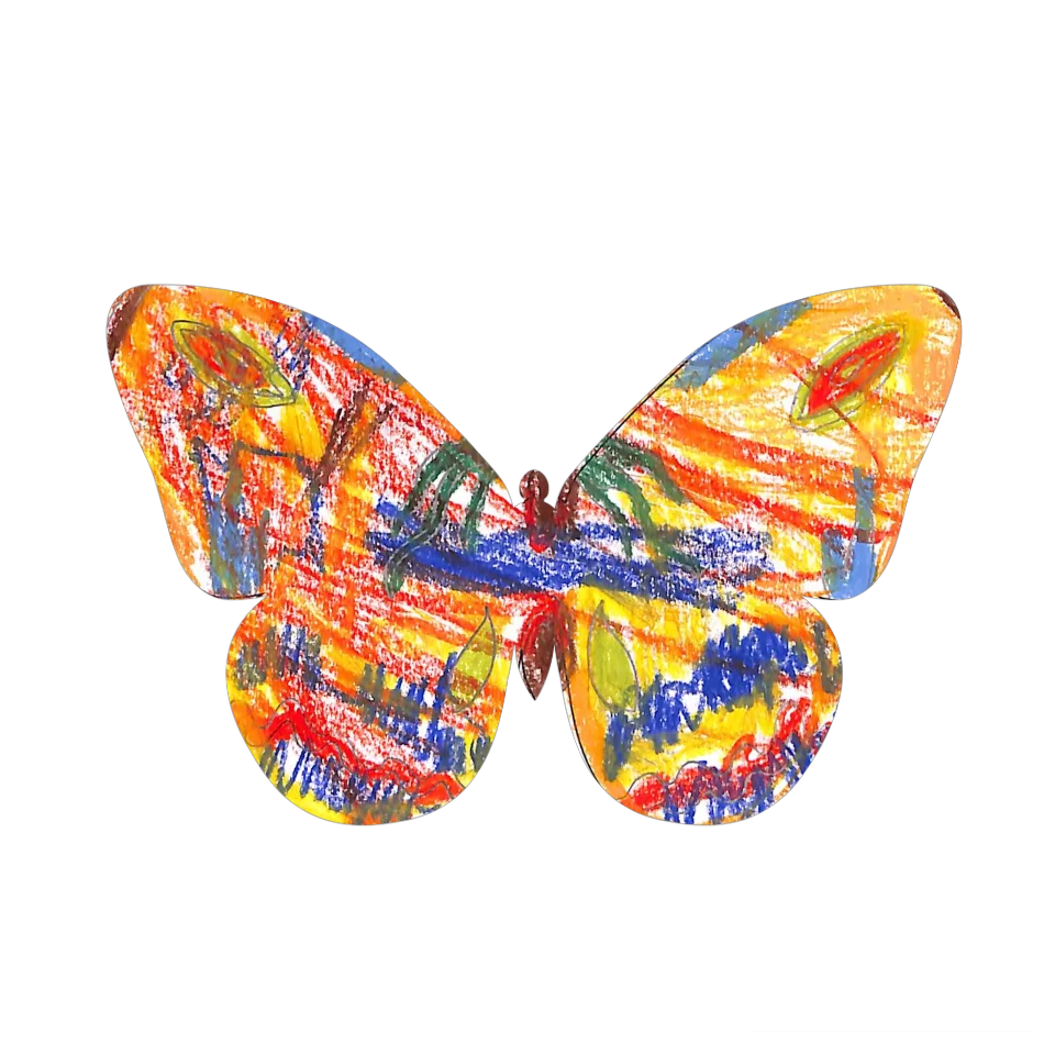Original Butterfly Image