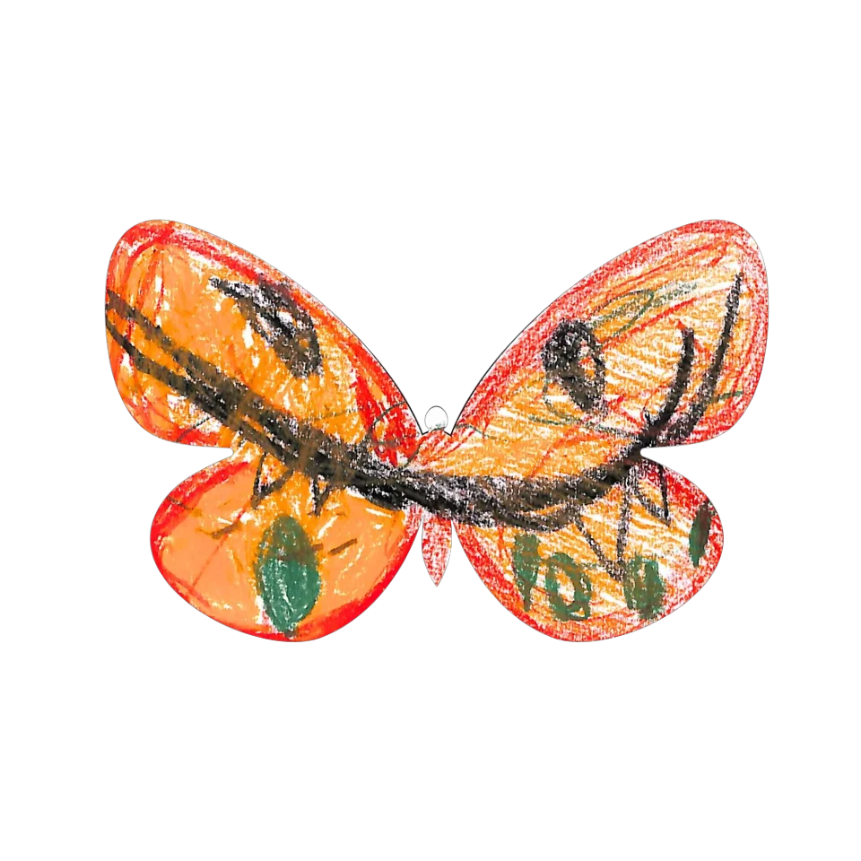 Original Butterfly Image