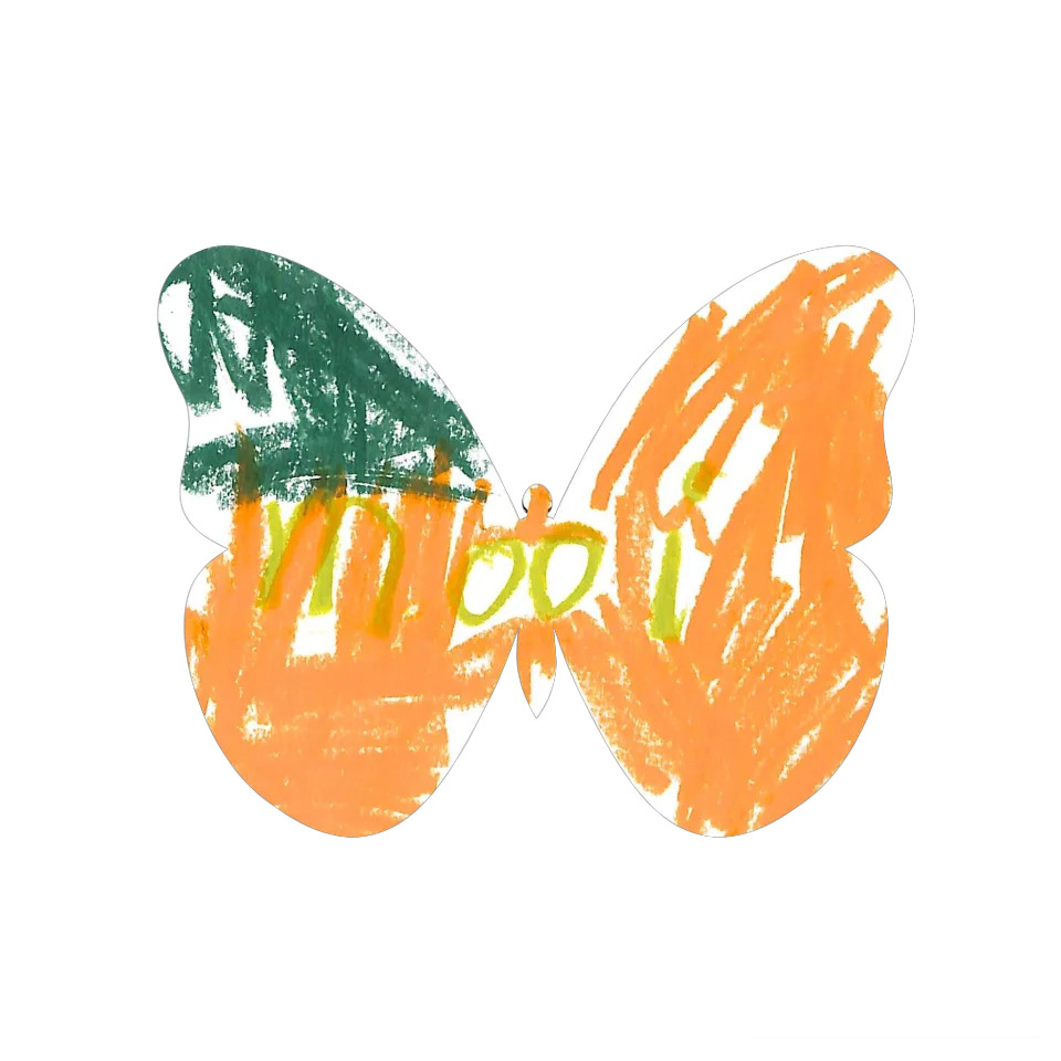 Original Butterfly Image