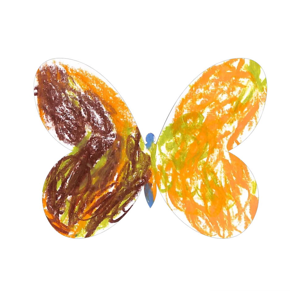 Original Butterfly Image