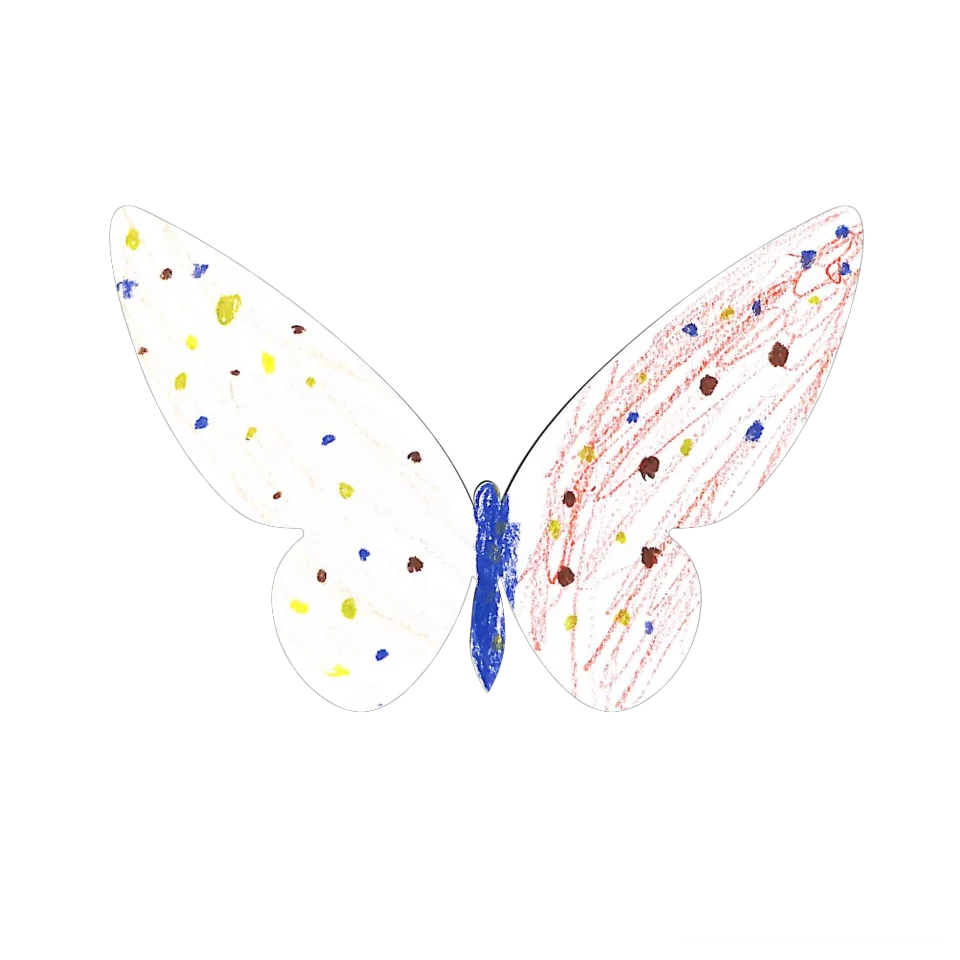 Original Butterfly Image