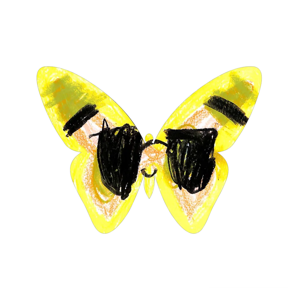 Original Butterfly Image