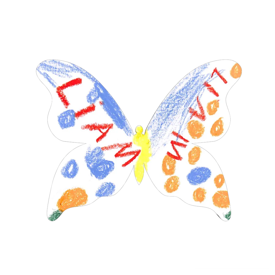 Original Butterfly Image