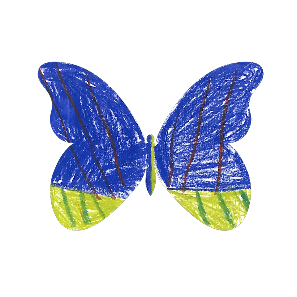 Original Butterfly Image