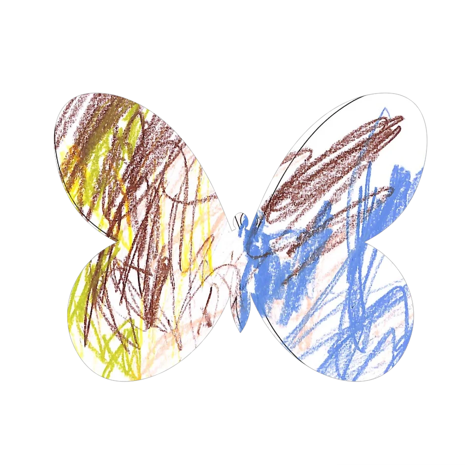 Original Butterfly Image