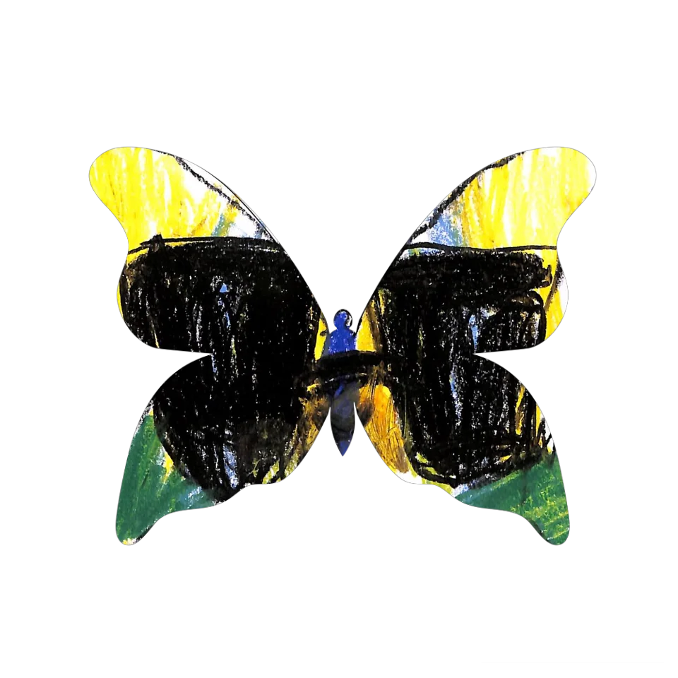 Original Butterfly Image