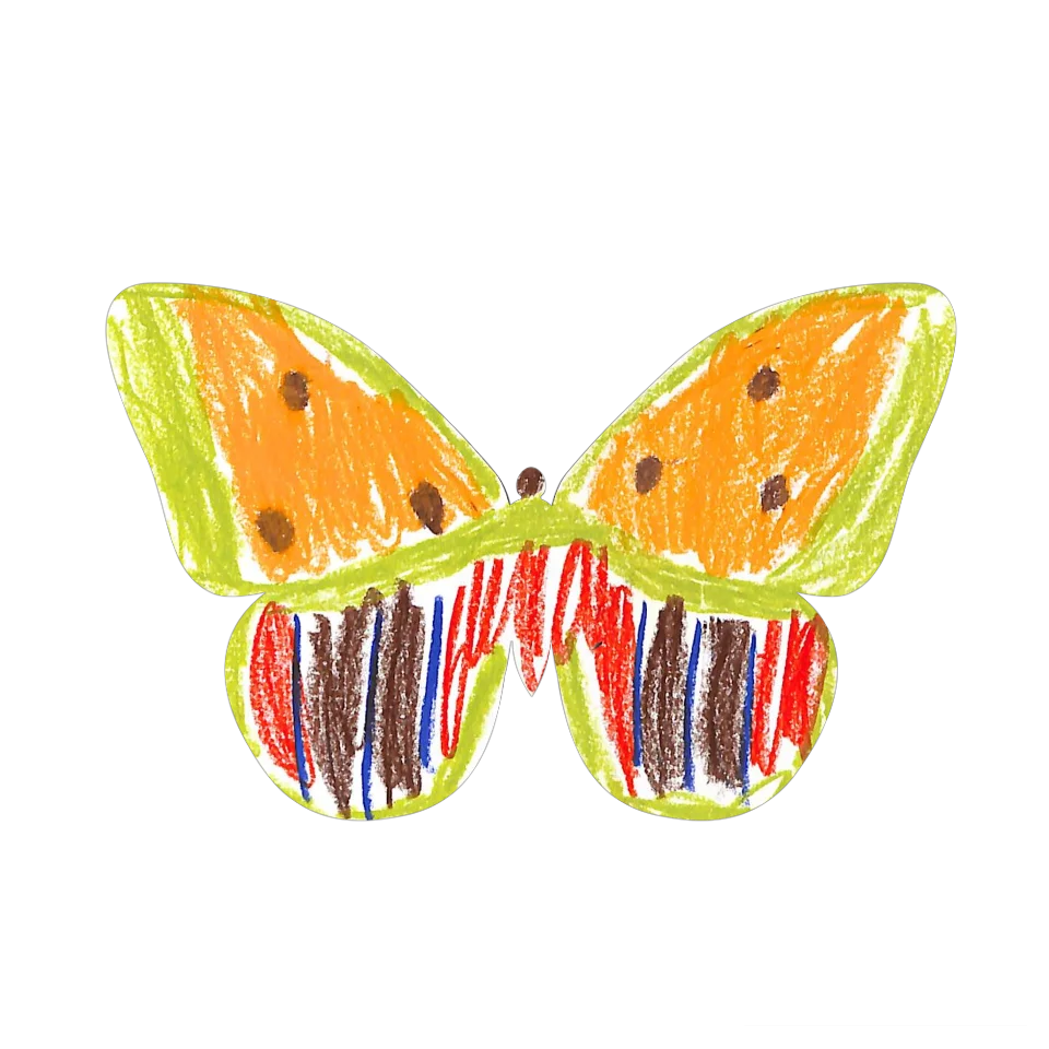 Original Butterfly Image