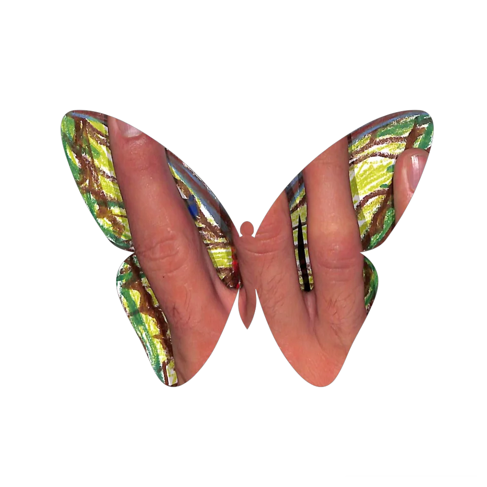 Original Butterfly Image