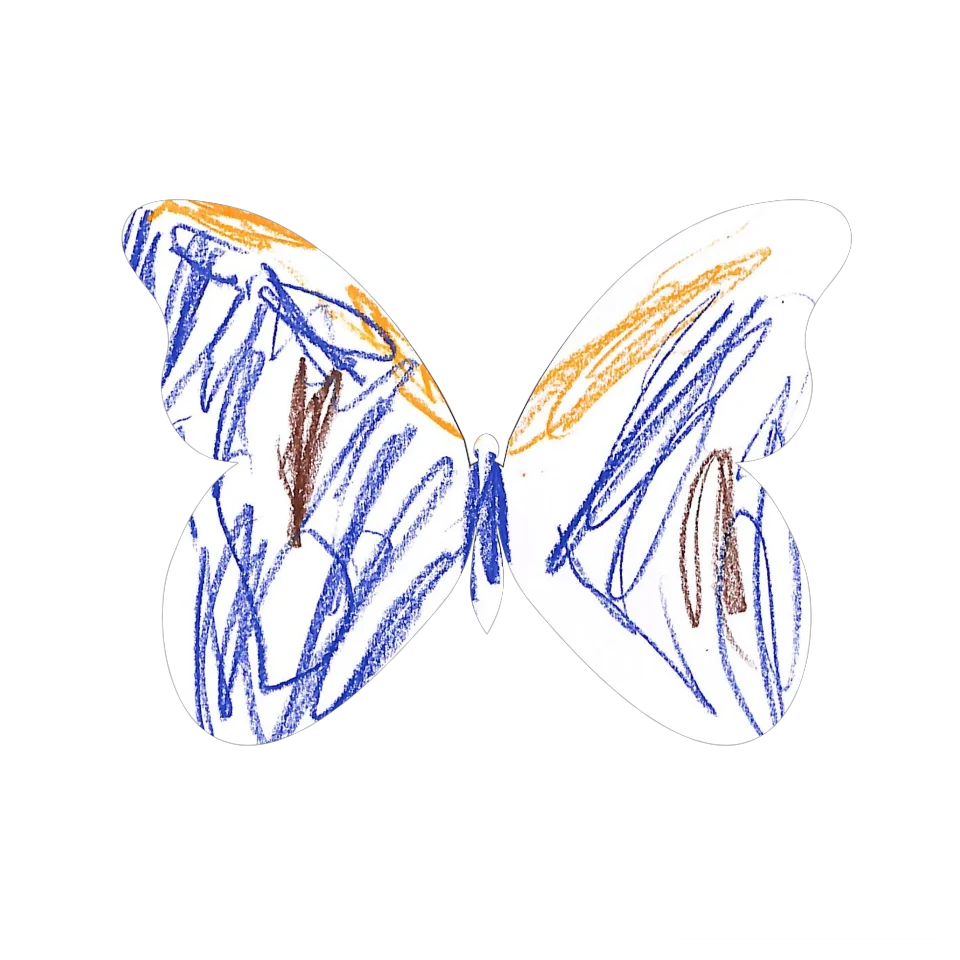 Original Butterfly Image