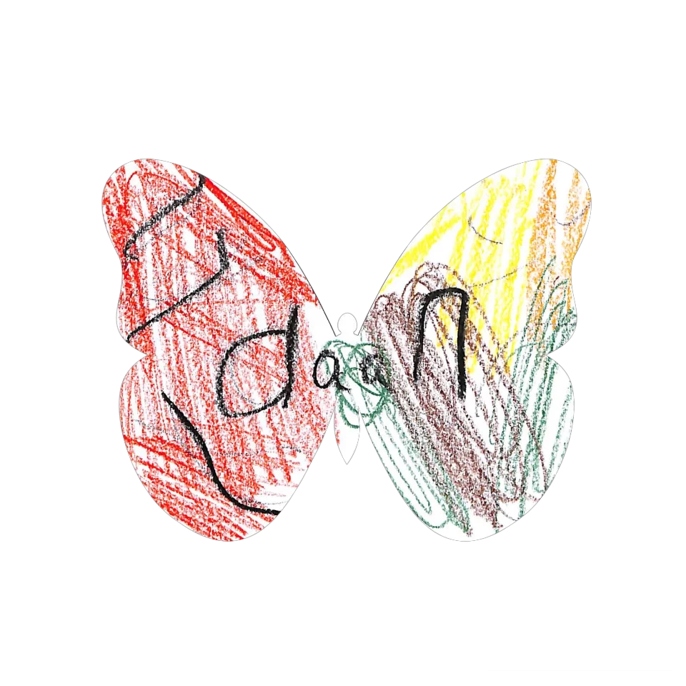 Original Butterfly Image