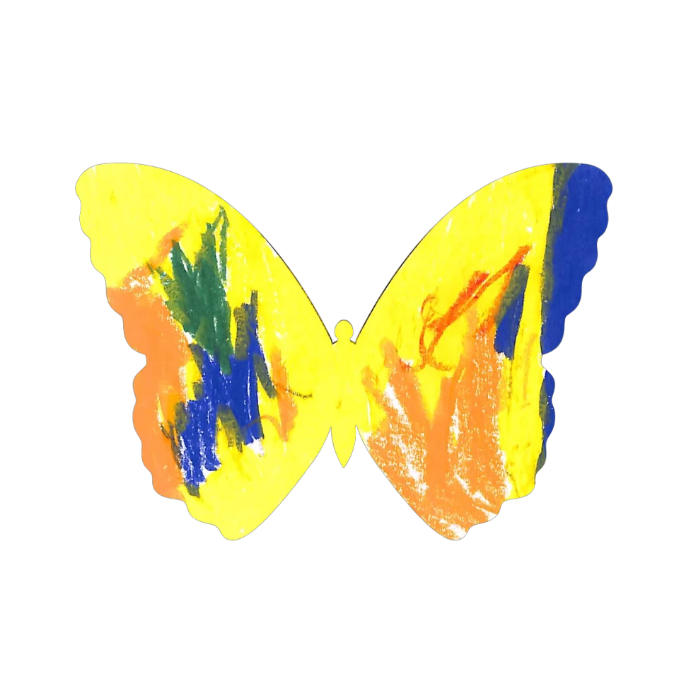 Original Butterfly Image