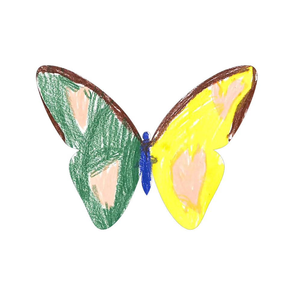 Original Butterfly Image