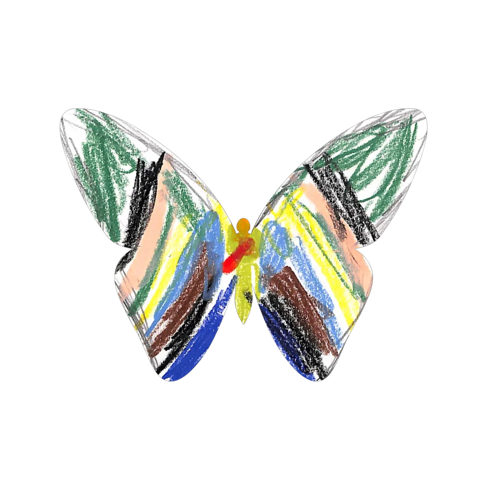 Original Butterfly Image