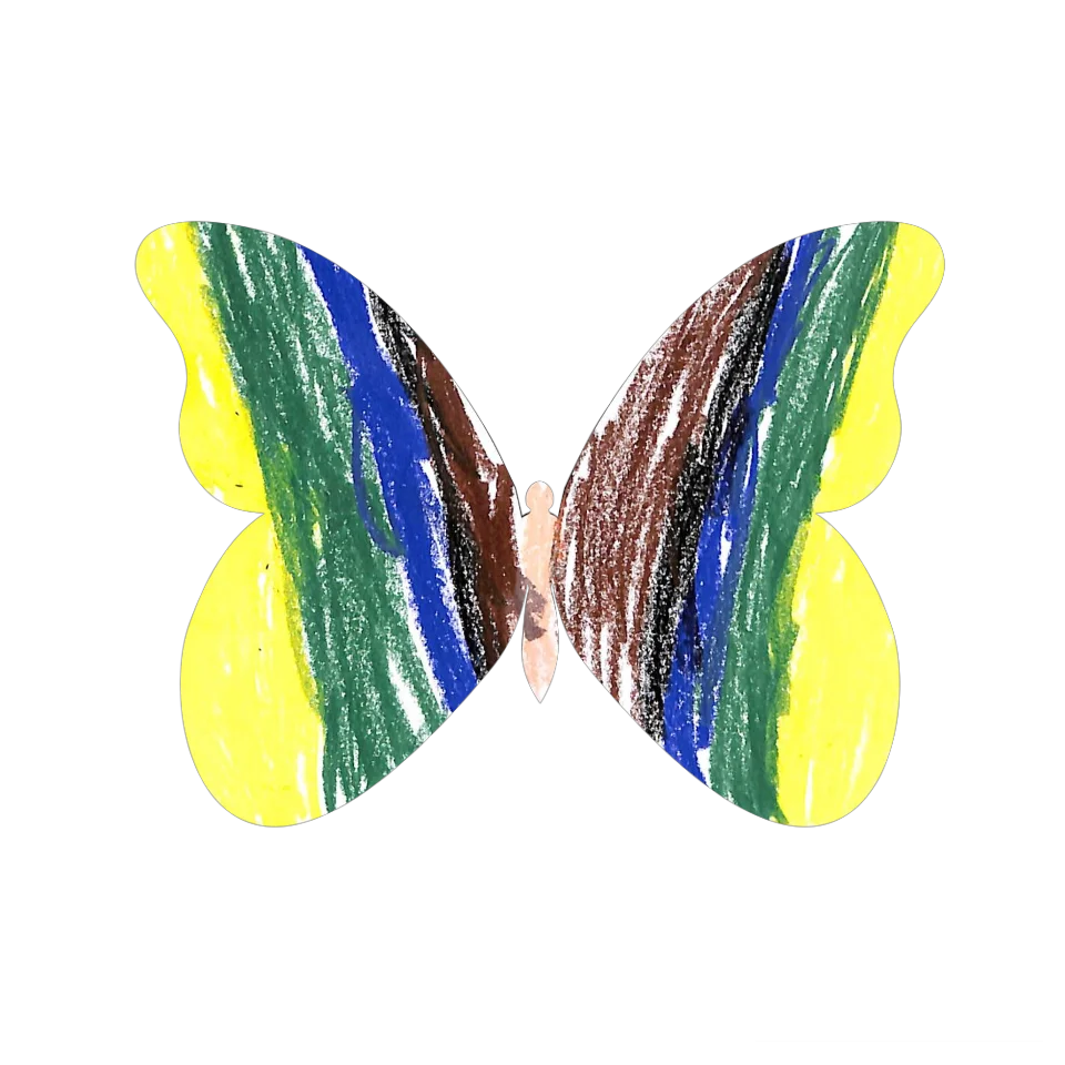 Original Butterfly Image