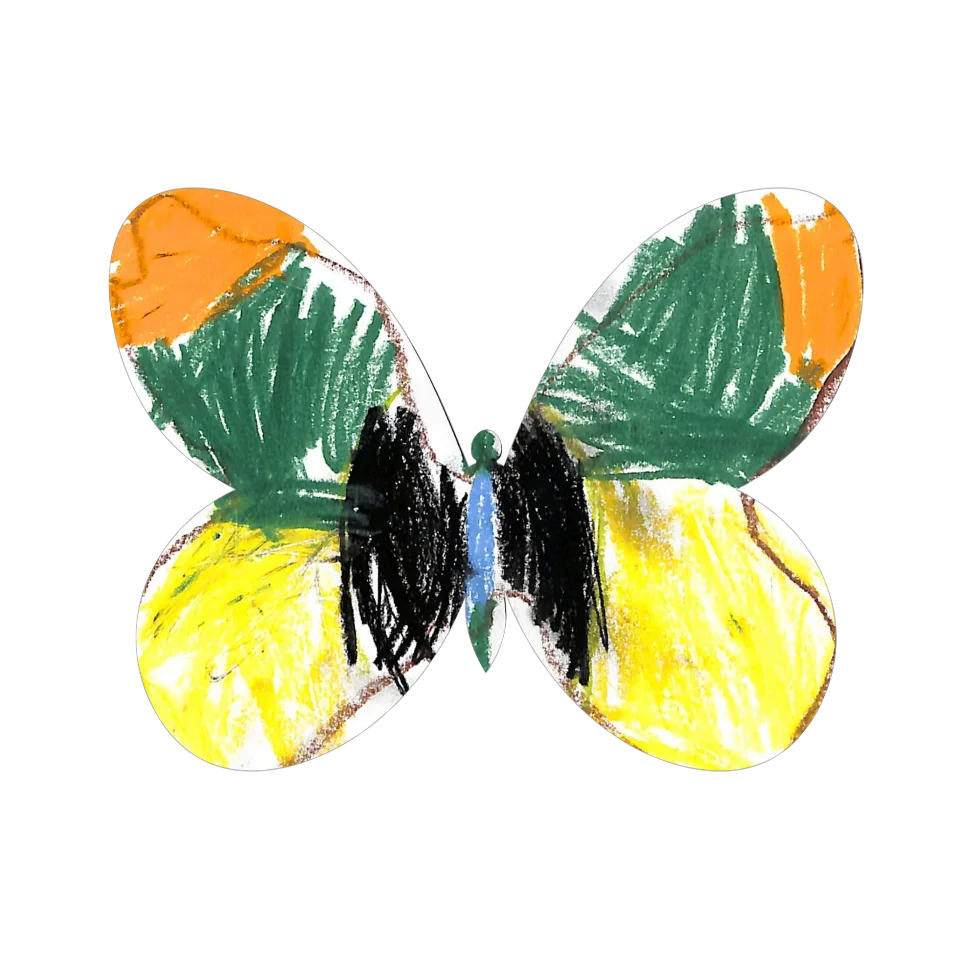 Original Butterfly Image
