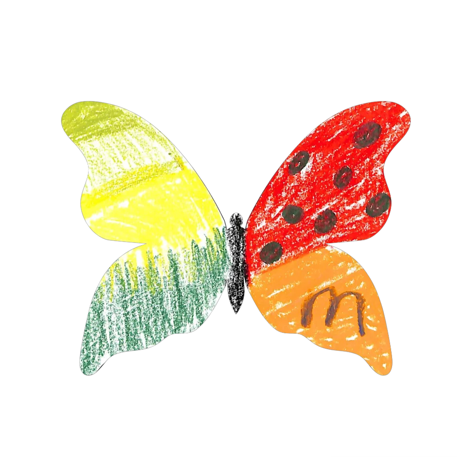 Original Butterfly Image