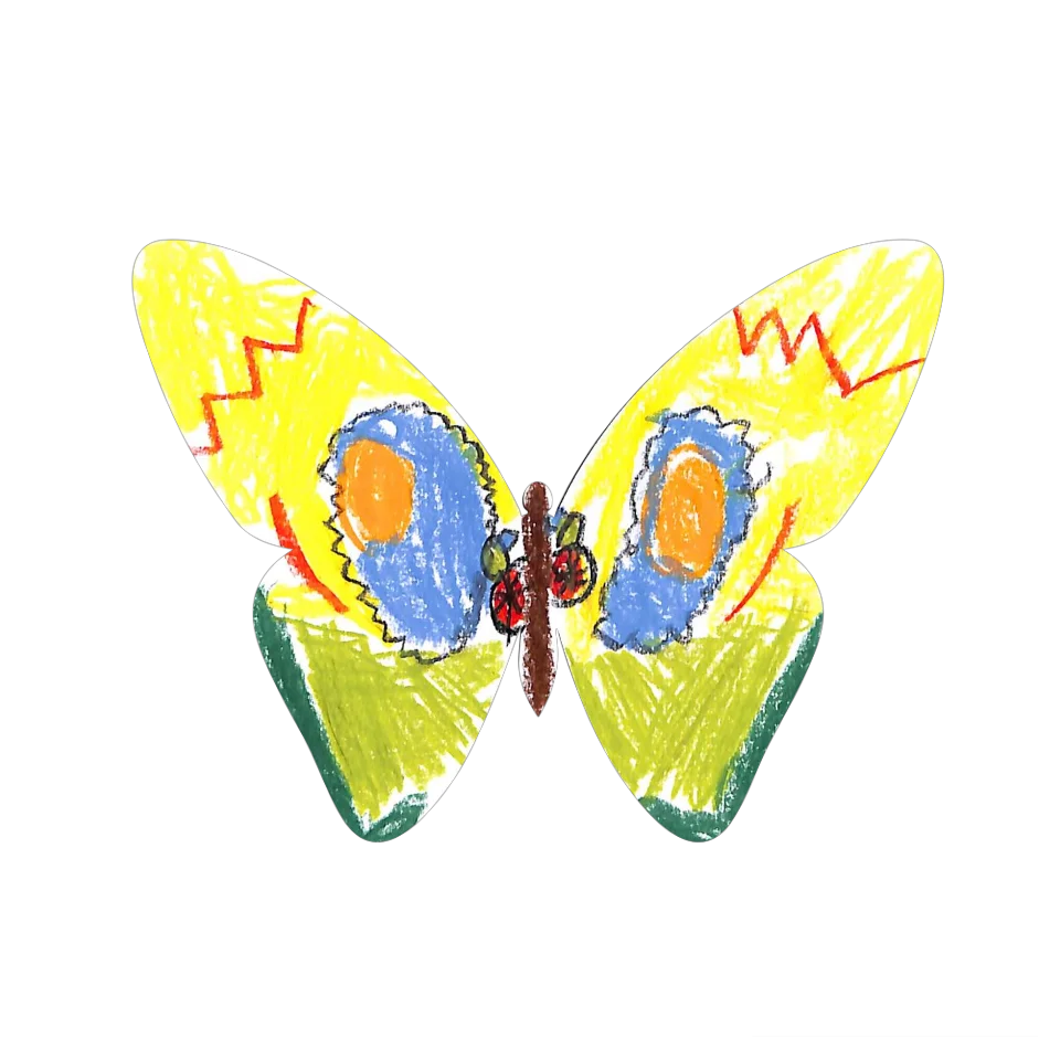 Original Butterfly Image