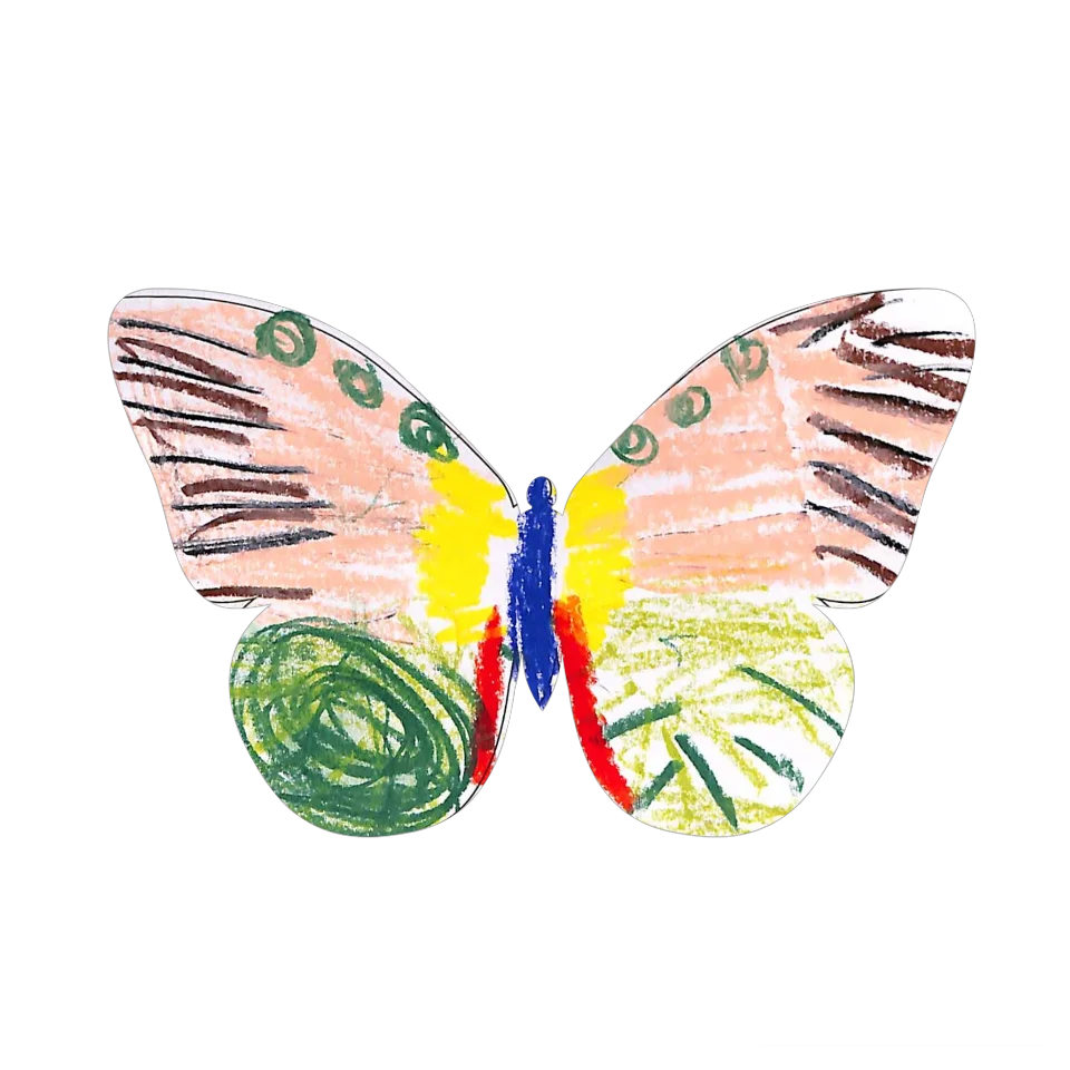 Original Butterfly Image