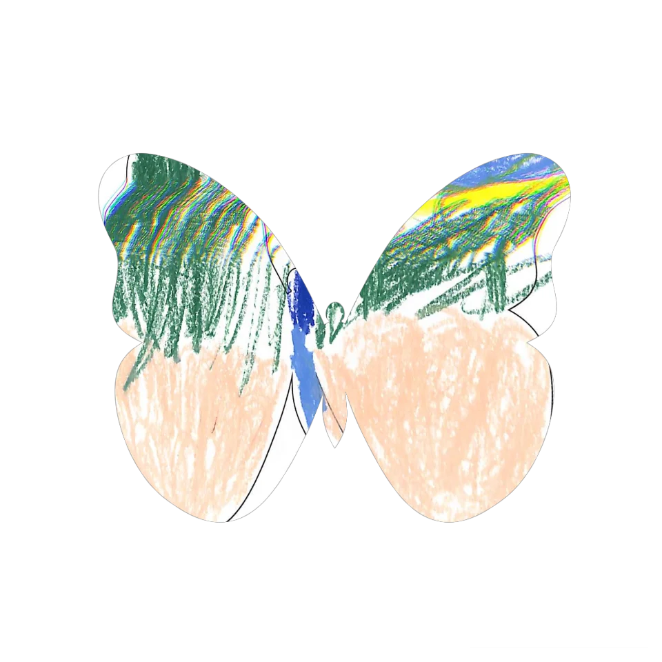 Original Butterfly Image