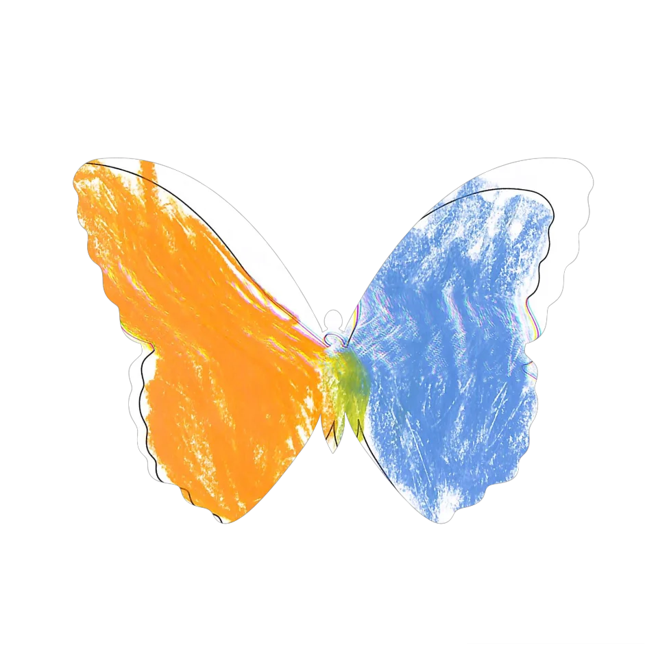 Original Butterfly Image