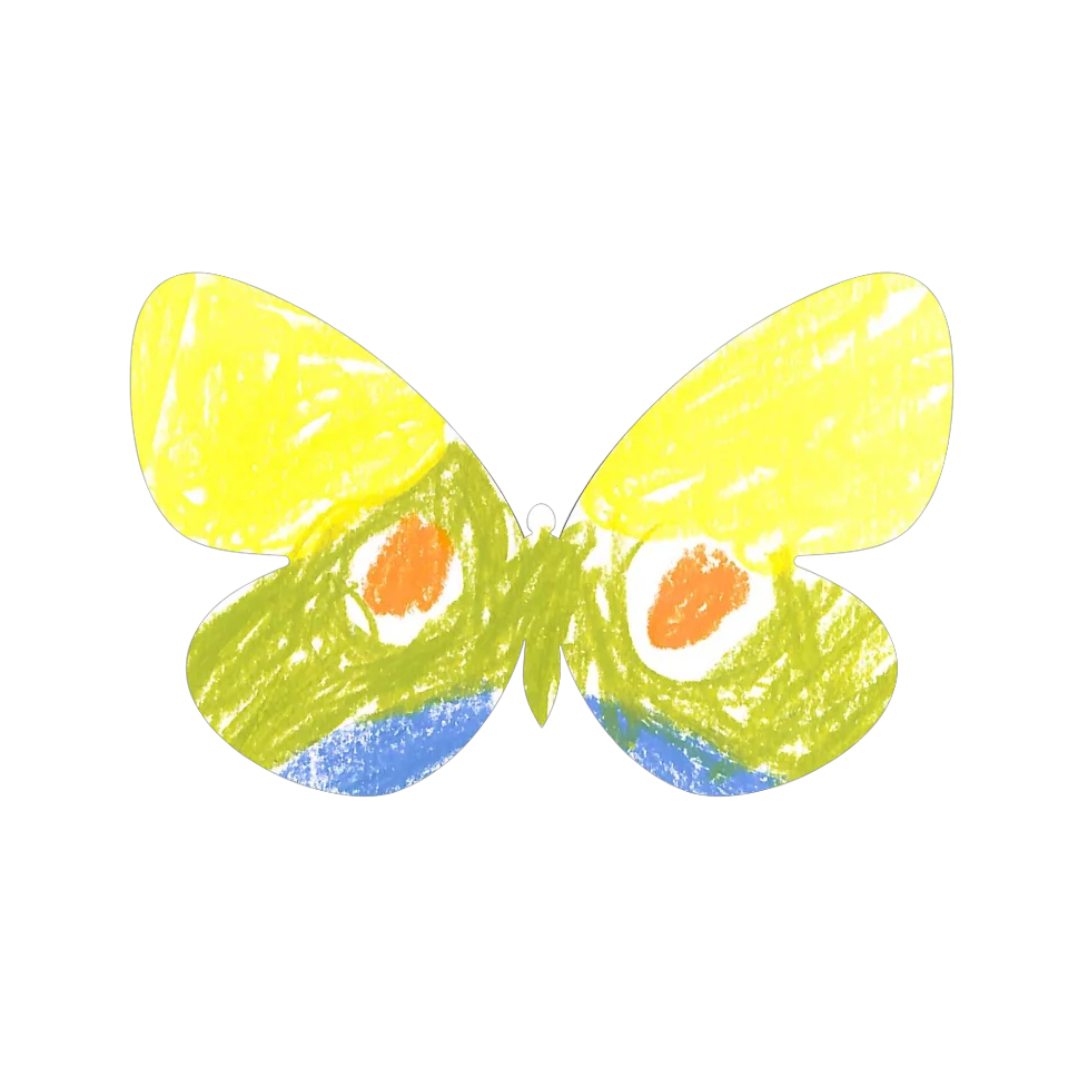 Original Butterfly Image