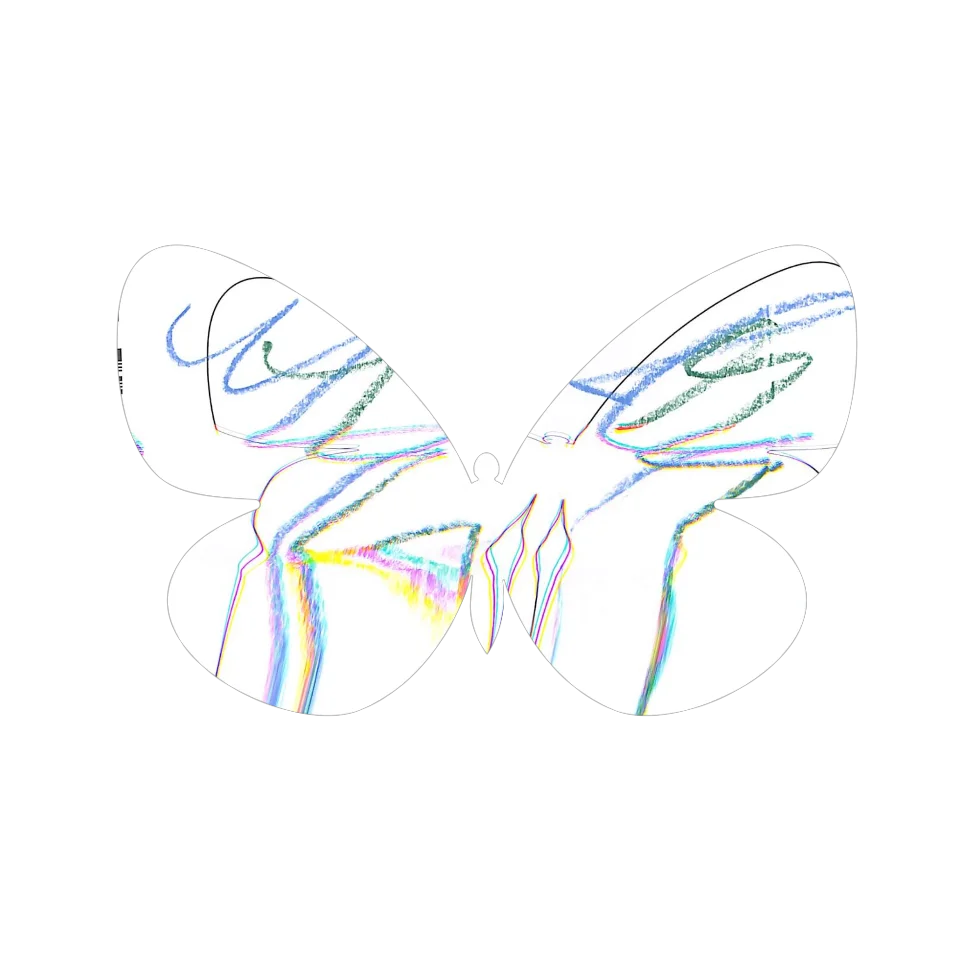 Original Butterfly Image