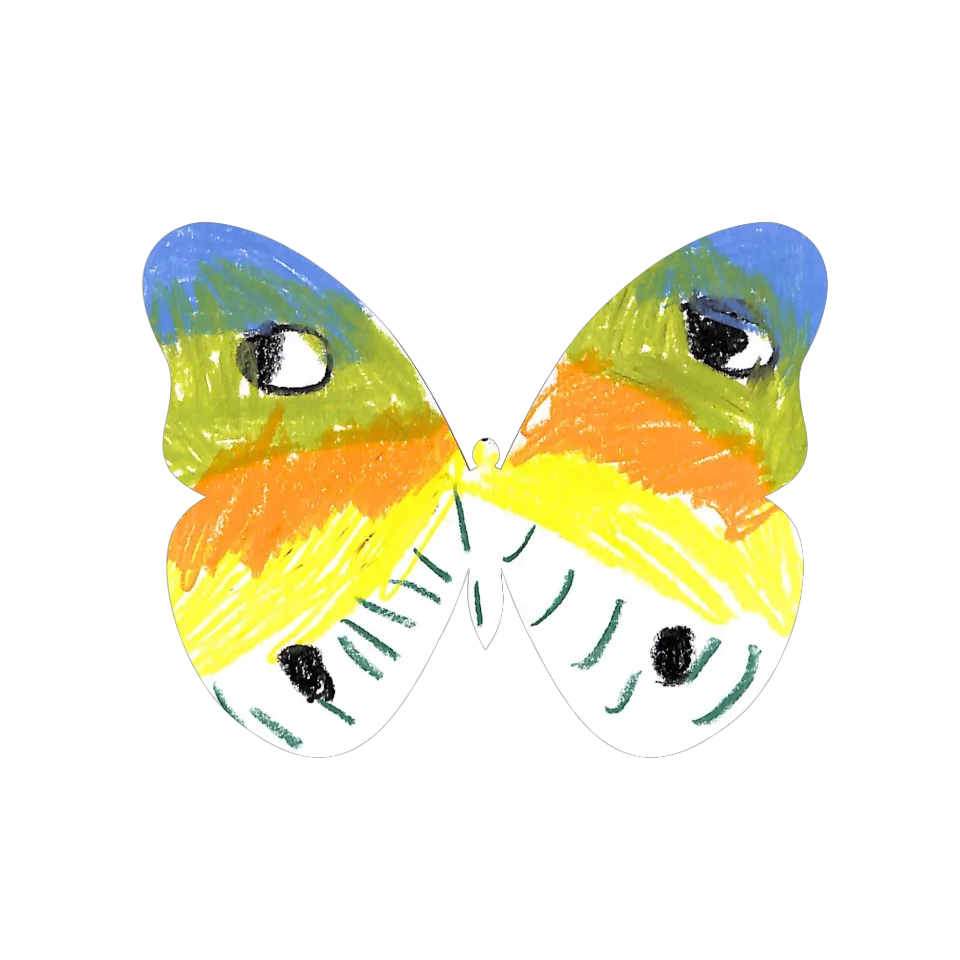 Original Butterfly Image