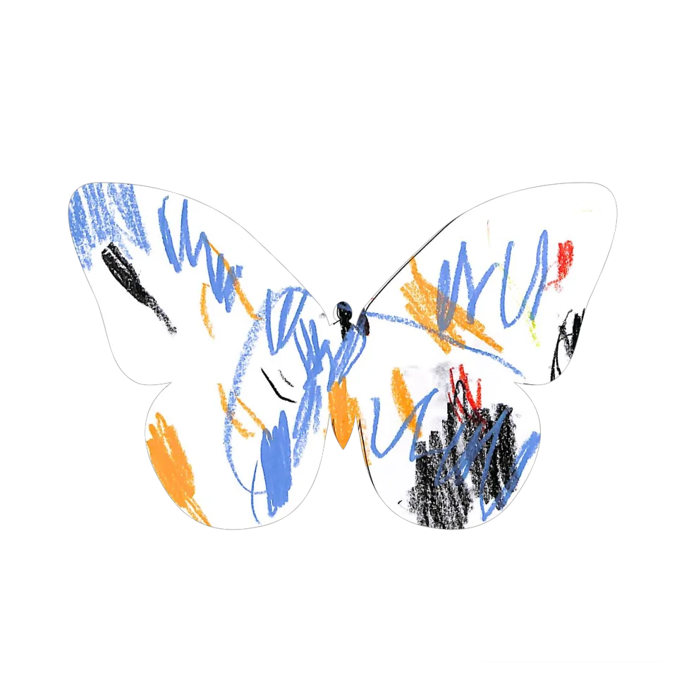 Original Butterfly Image