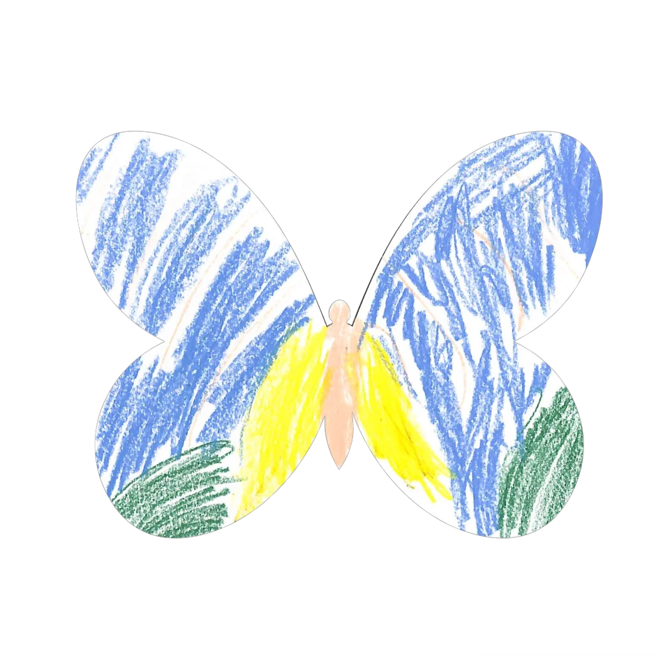 Original Butterfly Image