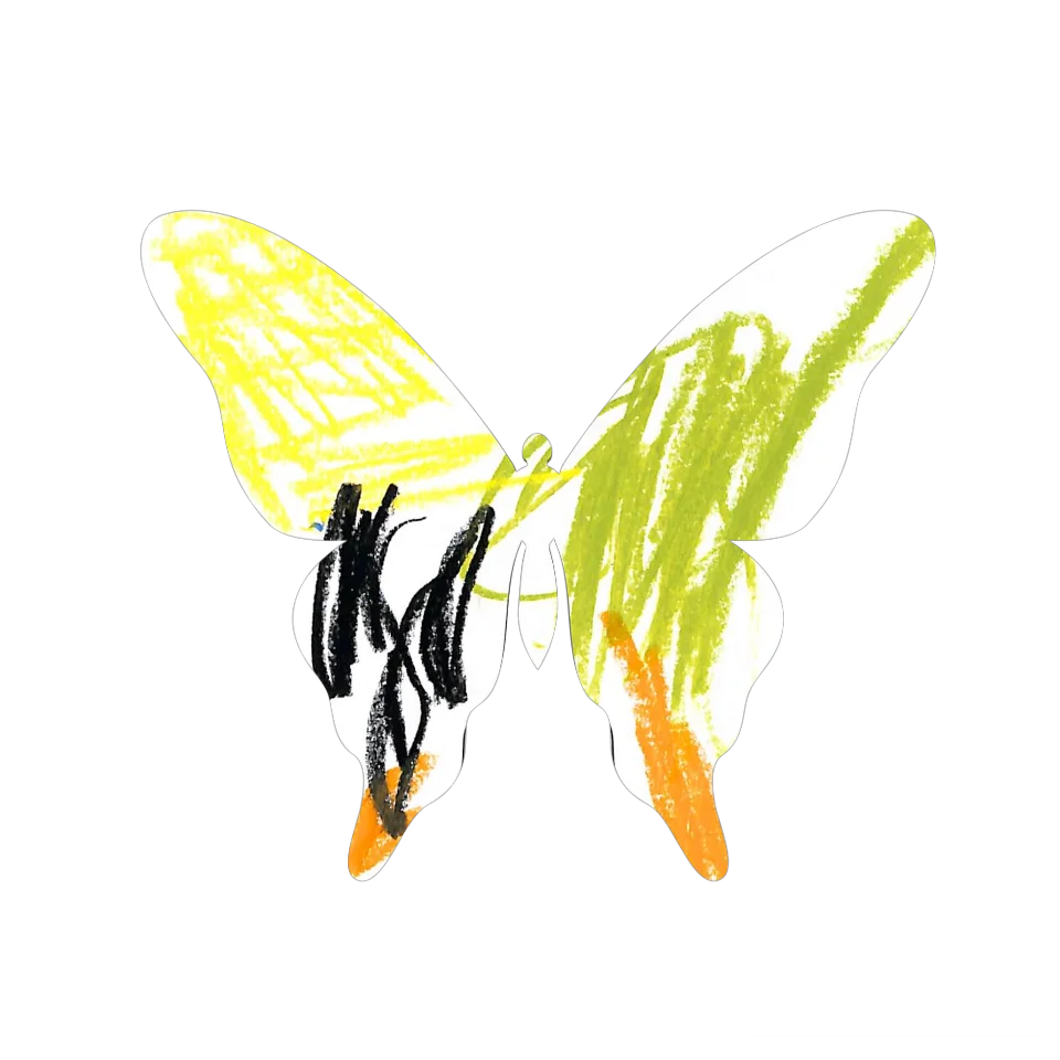 Original Butterfly Image