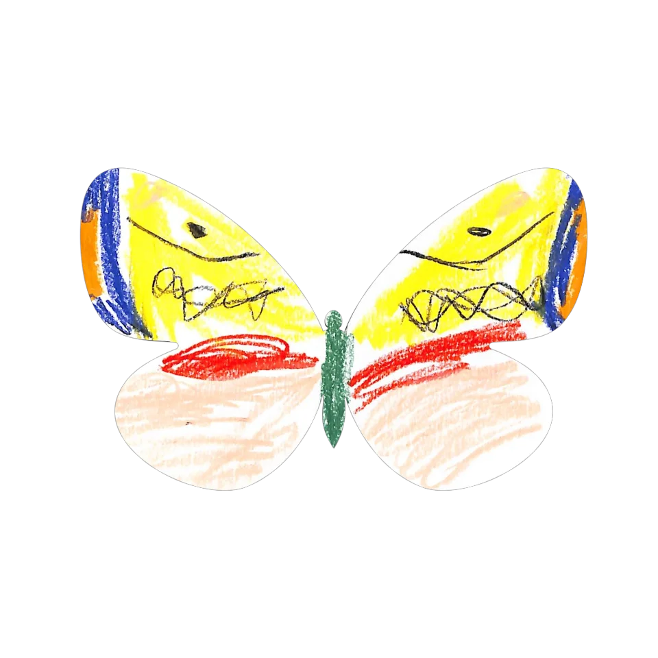Original Butterfly Image
