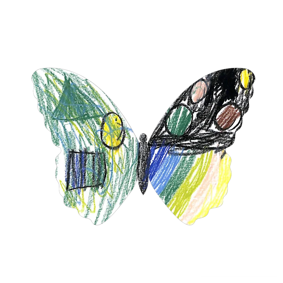 Original Butterfly Image